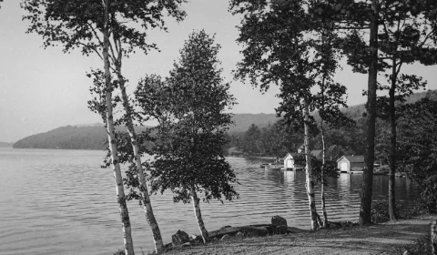 East Shore, Alton Bay, NH
